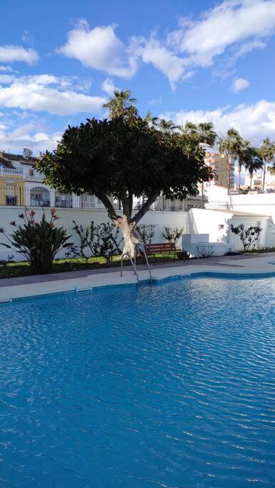 Appartement Precioso Frente A La Playa Torre Del Mar